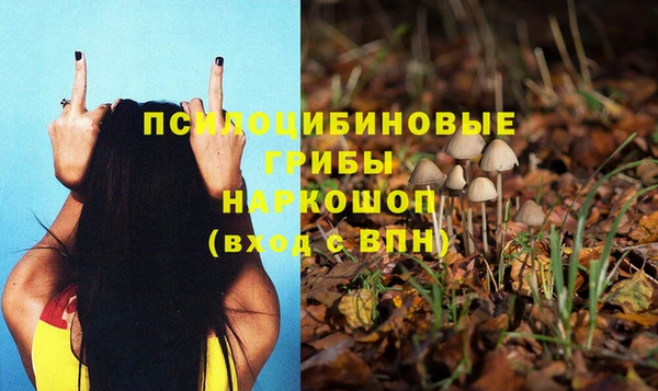 МДПВ Балахна