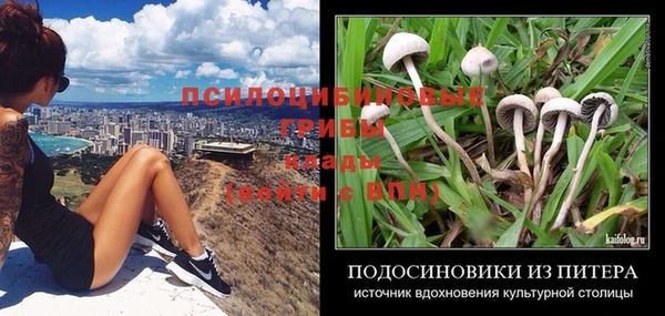 МДПВ Балахна
