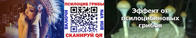 Псилоцибиновые грибы Cubensis  Балей 